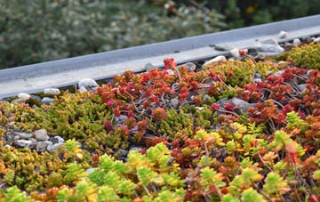 the cost of Searby green roof installation