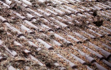 Searby roof cleaning companies